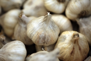 garlic-1648753_1920