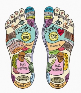 reflexologist