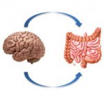 crop.gut-feelings-emerging-biology-of-gut-brain-communication-01.jpg.thumbnail.150x150.jpeg