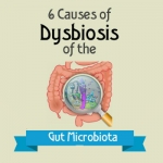 Dysbiosis of the Gut Microbiota