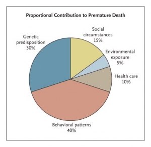 proportional contribution to premature death