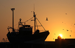 Fishing Boat_318.jpg