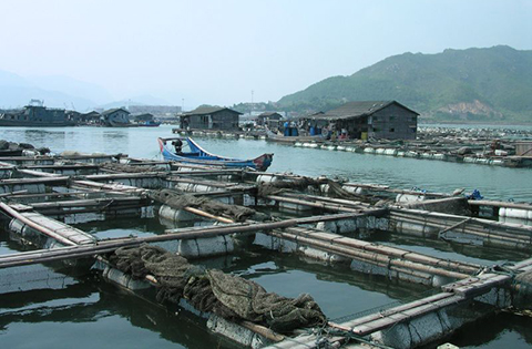 China_farm_homepage.jpg
