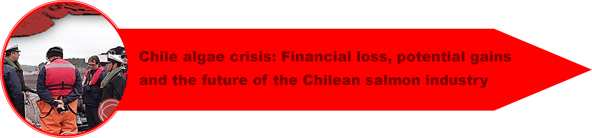 1_Chile_Crisis_4.png