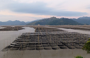 China aquaculture.jpg