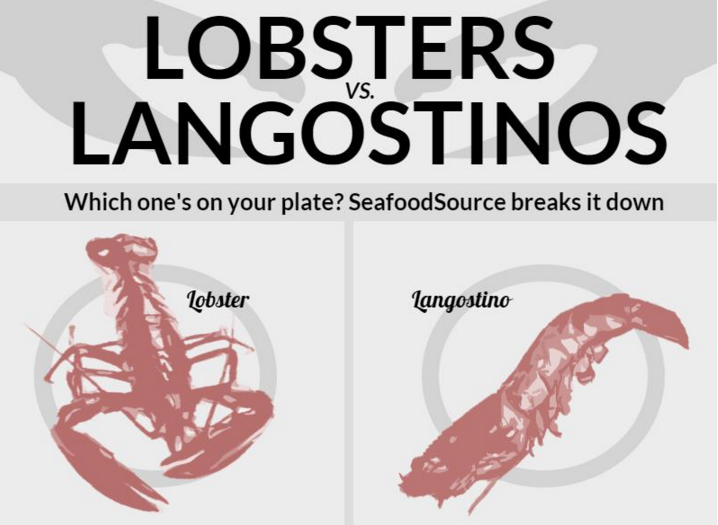1_Infographics_2015_Lobster_.PNG.large.1170x1170.png