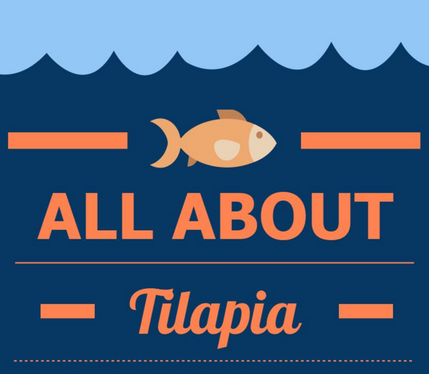1_Infographics_2015_Tilapia.PNG.medium.800x800.png