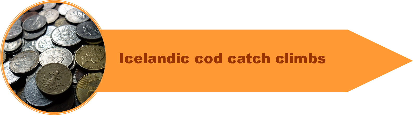4_Catchall_Cod_7.png