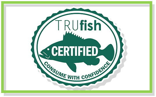 9_Fish.png