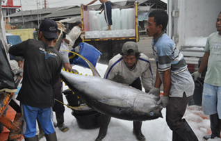 tuna-fishermen-16x9.jpg
