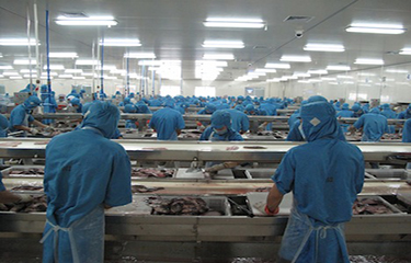 China Processing.jpg