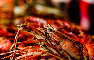 5_CC_lobster.jpg