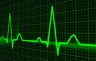 the heart of the matter.jpg