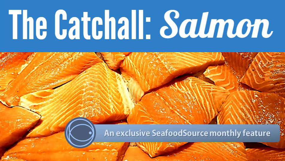 Catchall_Salmon_Banner.jpg