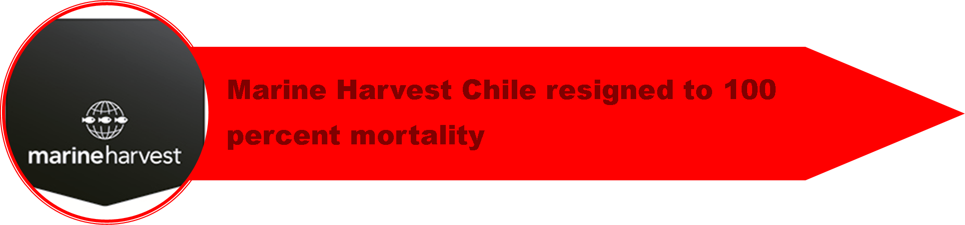 1_Chile_Crisis_5.png