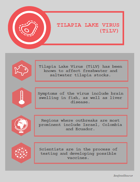 5_Virus_Tilapia.png