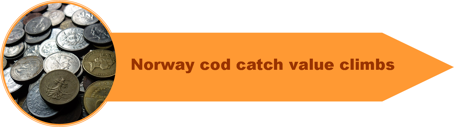 4_Catchall_Cod_6.png