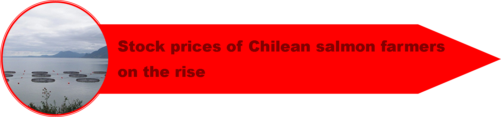 1_Chile_Crisis_3.png