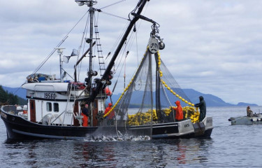 crop.Alaska Fishing 800.JPG.medium-375x240.375x240.jpeg
