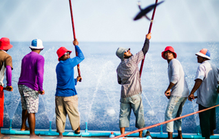 Maldives_PoleandLine_MSC_tuna.jpg