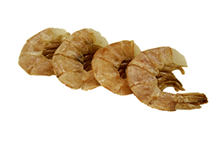 5_CC_shrimp.png