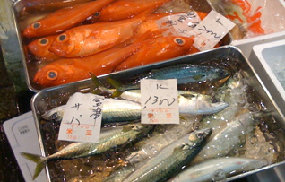 JapanFishMarket2.jpg