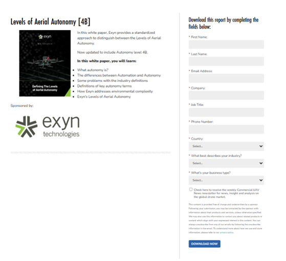 Whitepaper example