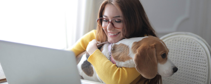 administrative professional working from home with dog and laptop