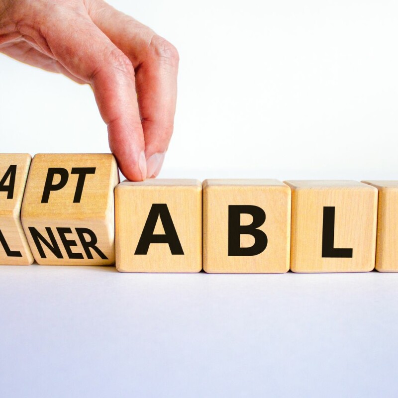 A line of blocks where the first two are tipping upwards, showing the word "Vulnerable" underneath "Adaptable"