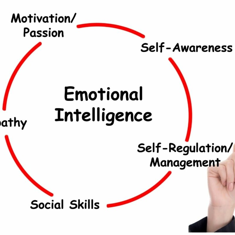 emotional intelligence