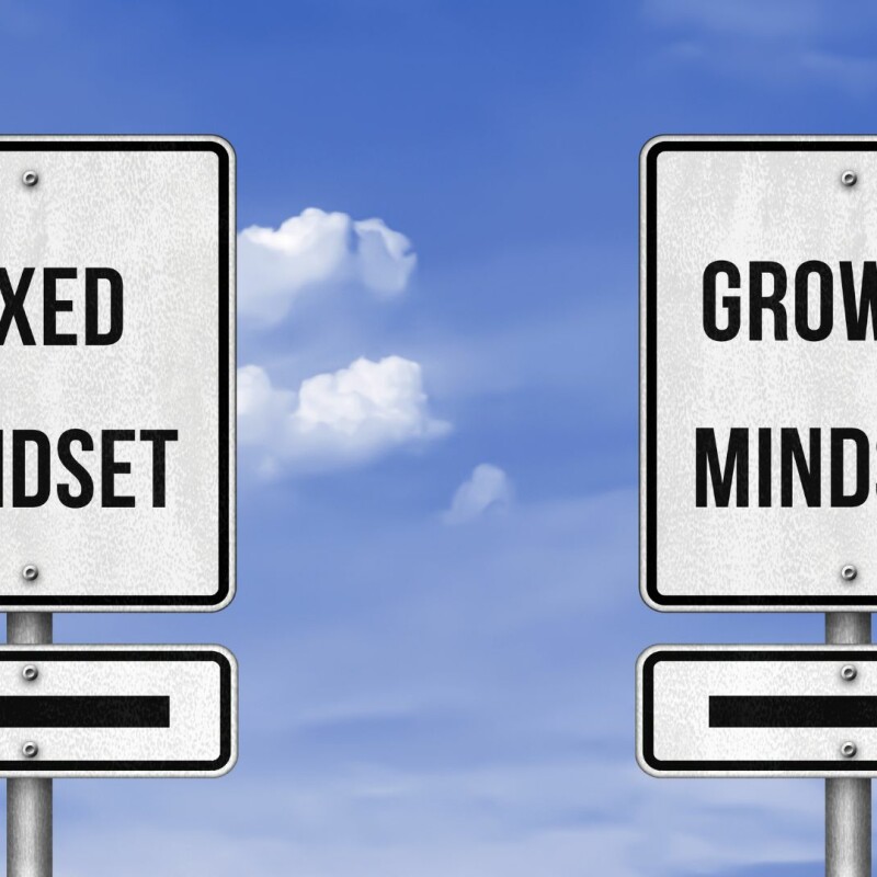 Having a growth mindset can be the key to professional success!