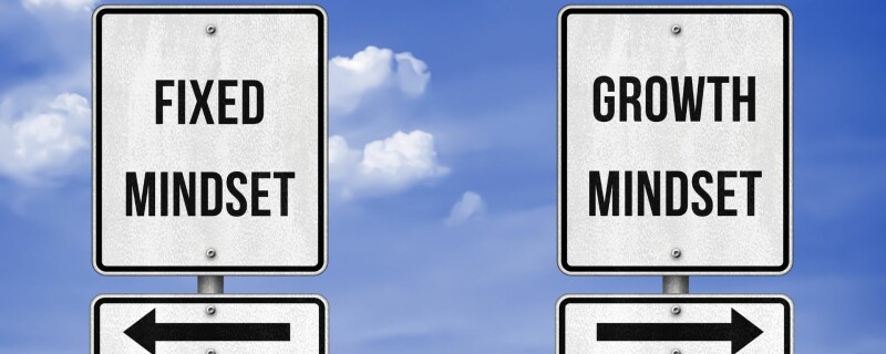 Having a growth mindset can be the key to professional success!