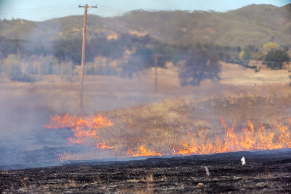A grass fire burns across a slope with power lines in background