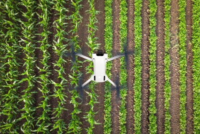 Top view of modern agricultural drone flying above the field and scanning herbs and collecting data with multispectral camera.