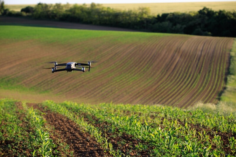 Control and monitoring of spring agricultural crops using a drone in agro-industry