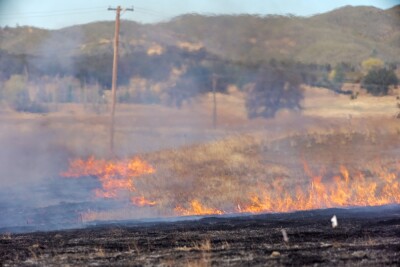 A grass fire burns across a slope with power lines in background