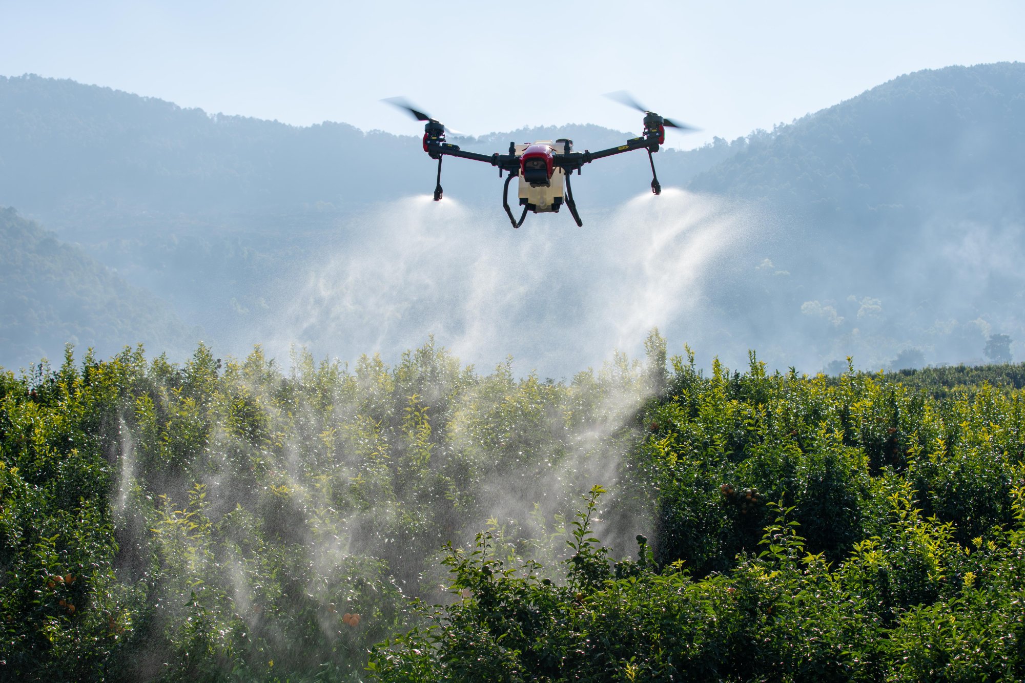 Agricultural drone spraying taking off