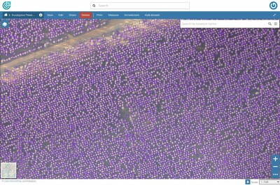 FlyPix AI trees