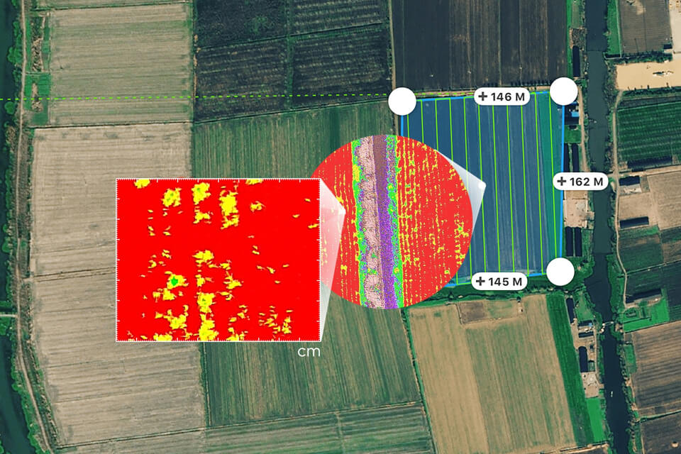 100319_Multispectral_P4_Centimeter.jpg