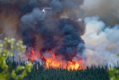 wild forest fire in Canada