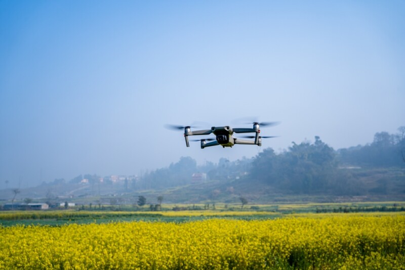 flying drone over the mustard farmland in Nepal.