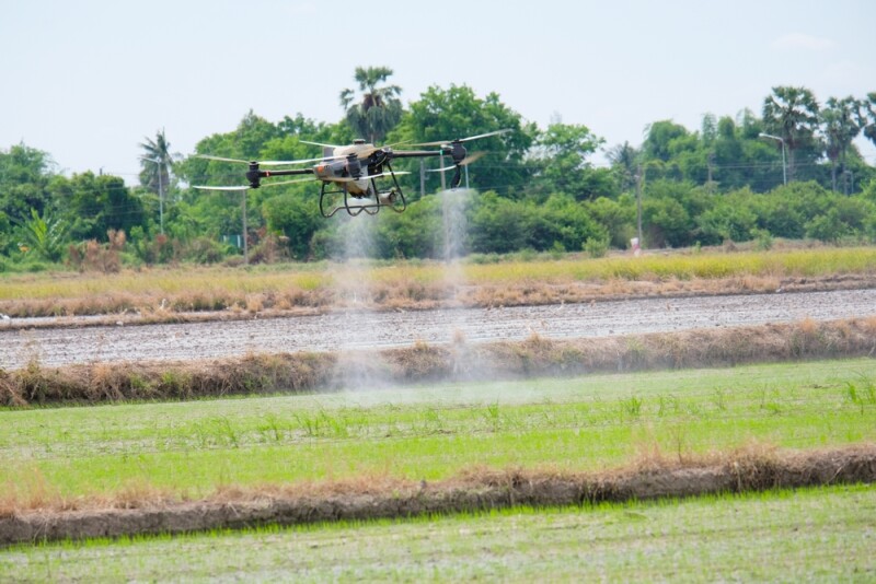 An agricultural drone is spraying chemicals in the rice fields.