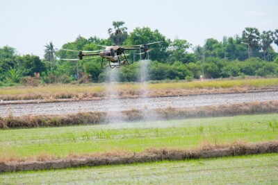 An agricultural drone is spraying chemicals in the rice fields.