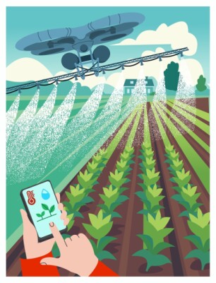 Agriculture farm. Smart farming. 