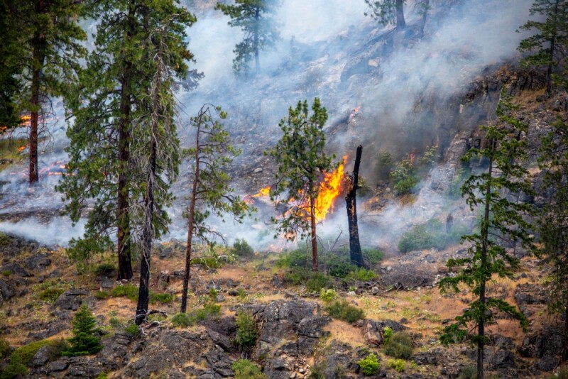 Wildfire in North Central Washington.