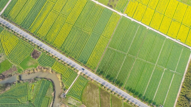 Aerial photography of rapeseed fields in spring