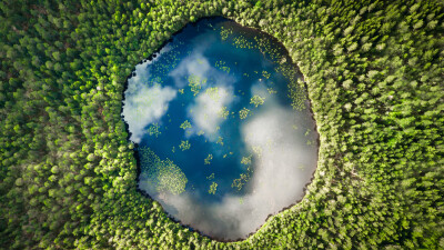 An almost perfect circular lake shot straight down from the air resembles the earth surrounded by a pine forest