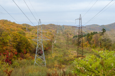 High-voltage power lines along a clearing through the autumn forest.
