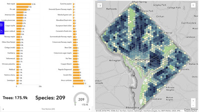 ArcGIS dashboard showing tree species around Washington D.C.