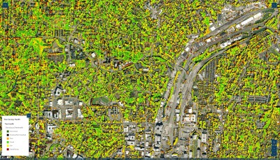 ArcGIS Dashboard showing tree health around Wake County